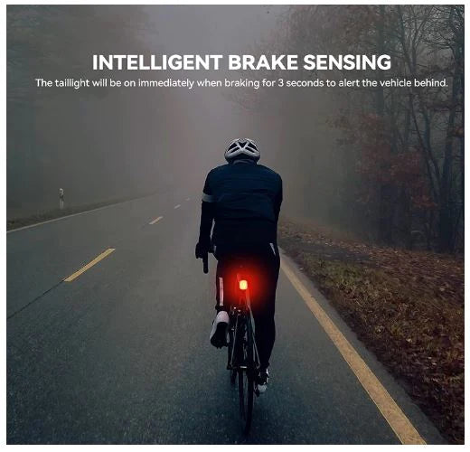 ROCKBROS Bike Rear Light LED Waterproof IPX6 USB Rechargeable, Smart Brake Light Helder rood licht met 5 vaste en knipperende modi.