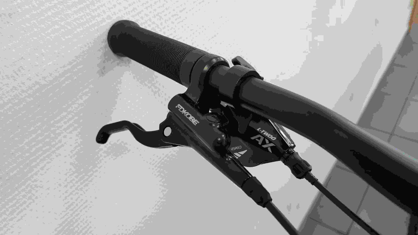 CFM Mountainbike Carbon 29 12S Blauw