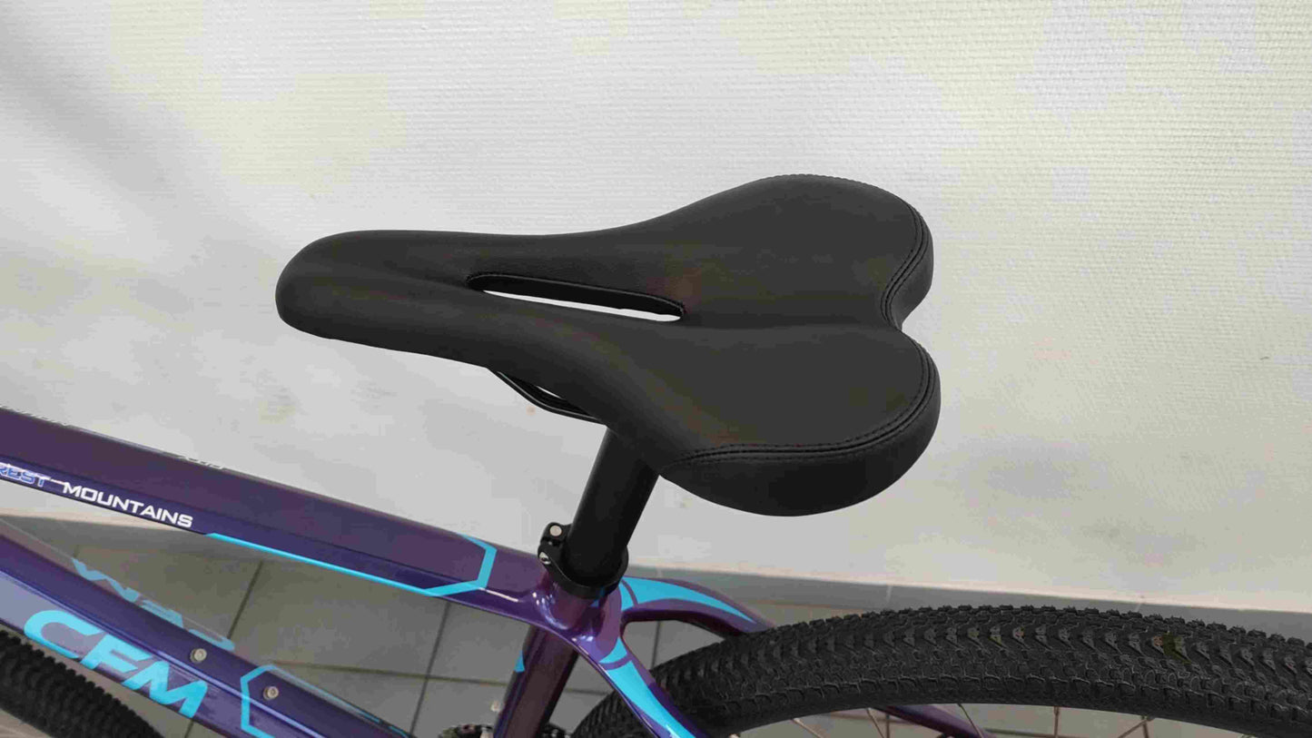 CFM Mountainbike Carbon 29 12S Blauw