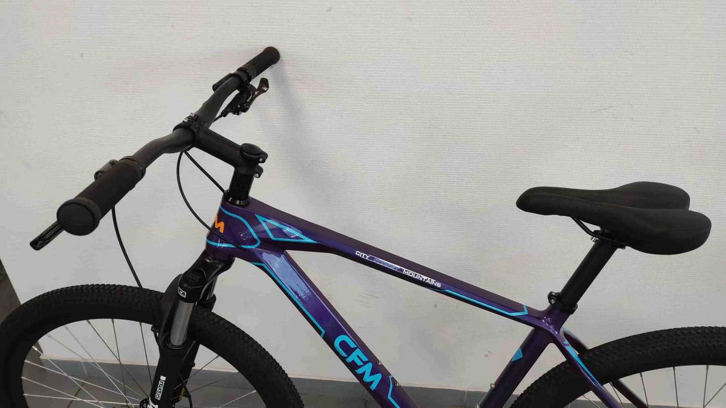 CFM Mountainbike Carbon 29 12S Blauw