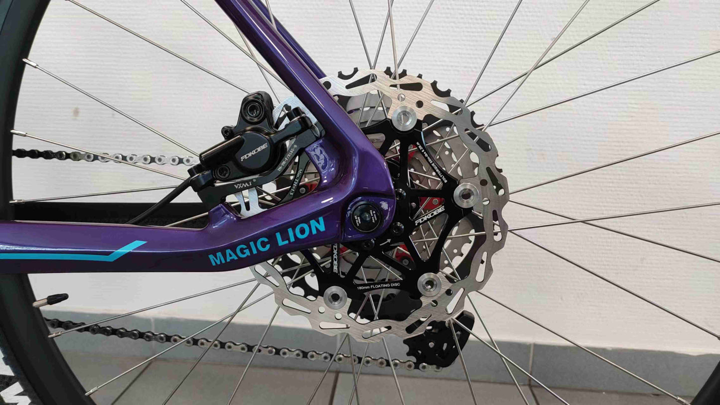 CFM Mountainbike Carbon 29 12S Blauw