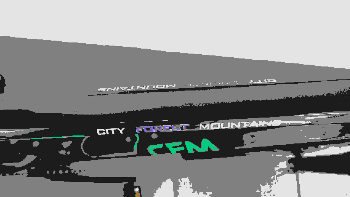 CFM Mountainbike Carbon 29 12S Blauw