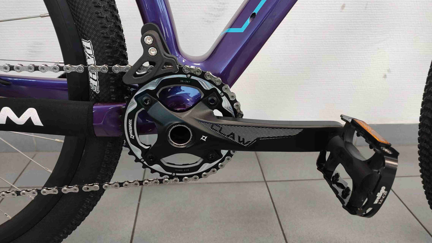 CFM Mountainbike Carbon 29 12S Blauw