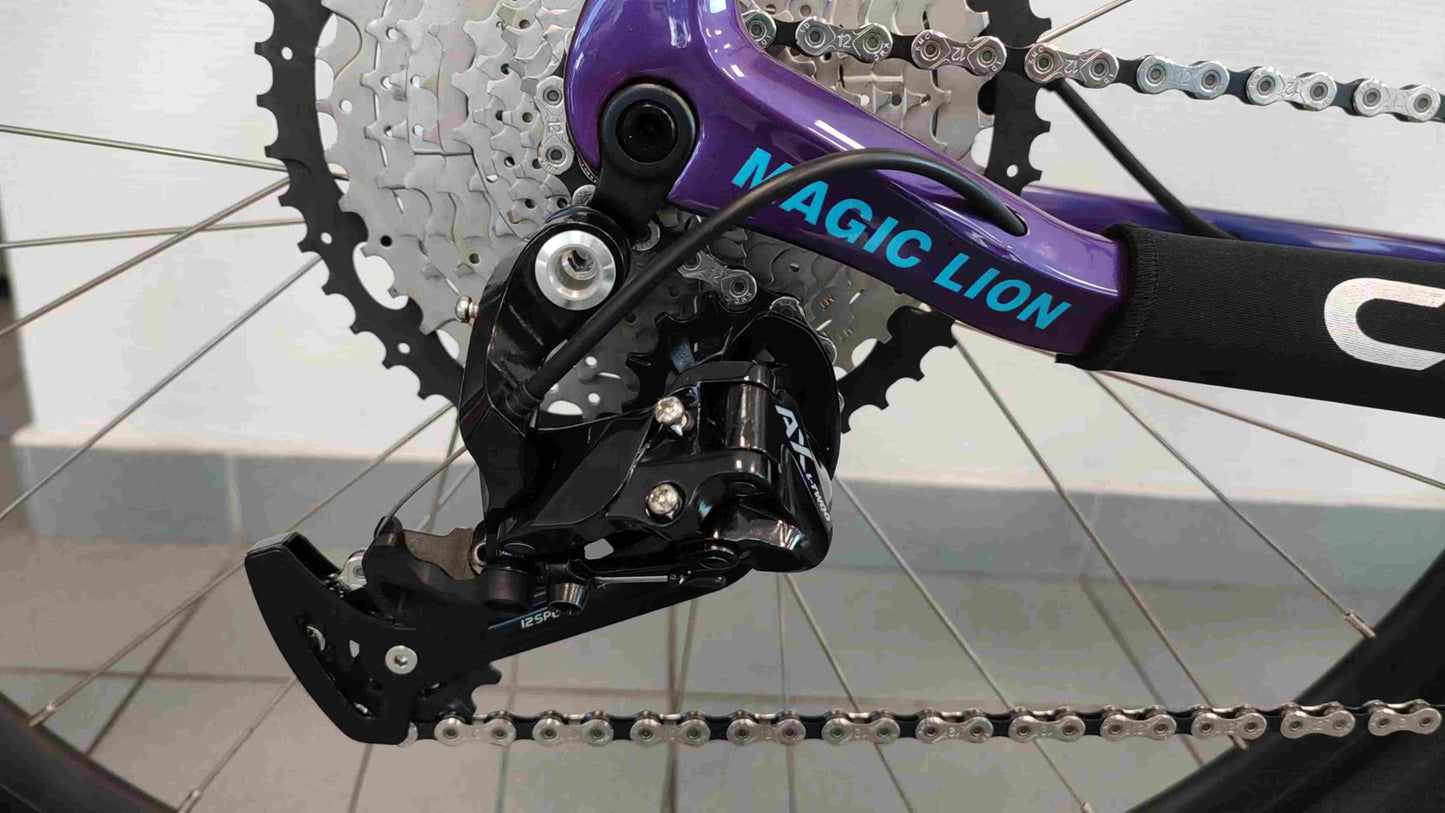 CFM Mountainbike Carbon 29 12S Blauw