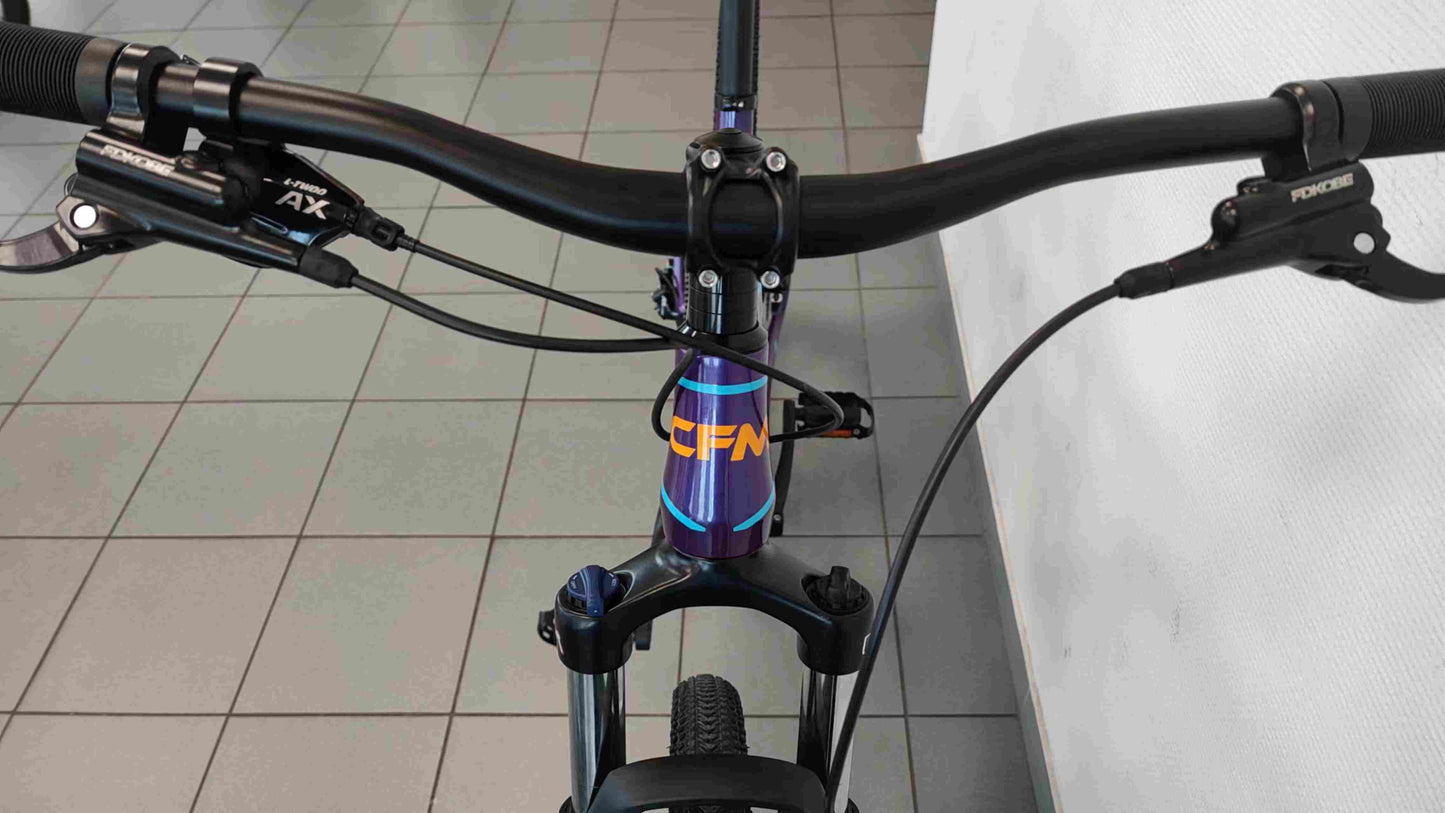 CFM Mountainbike Carbon 29 12S Blauw