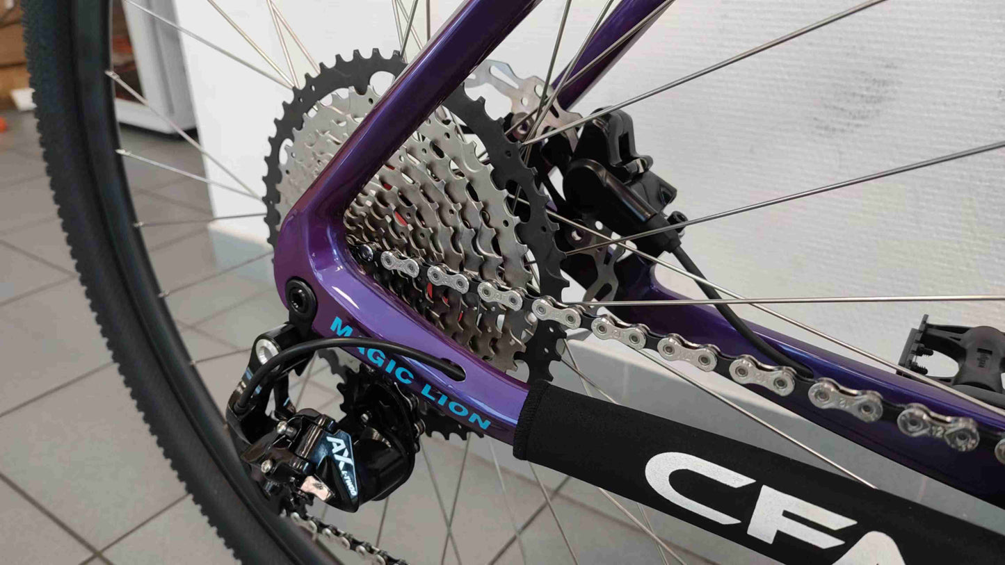 CFM Mountainbike Carbon 29 12S Blauw