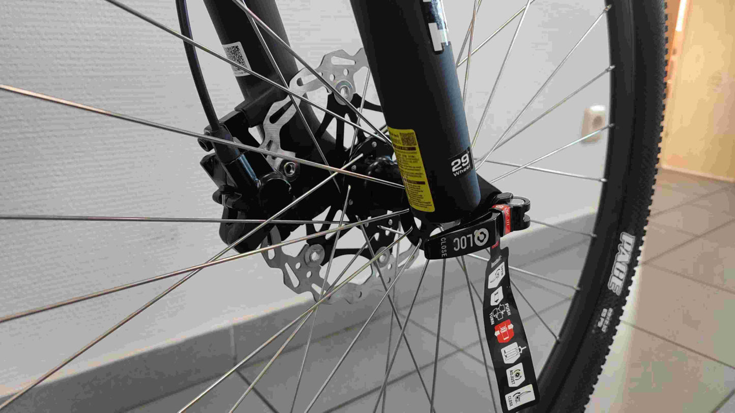 CFM Mountainbike Carbon 29 12S Blauw