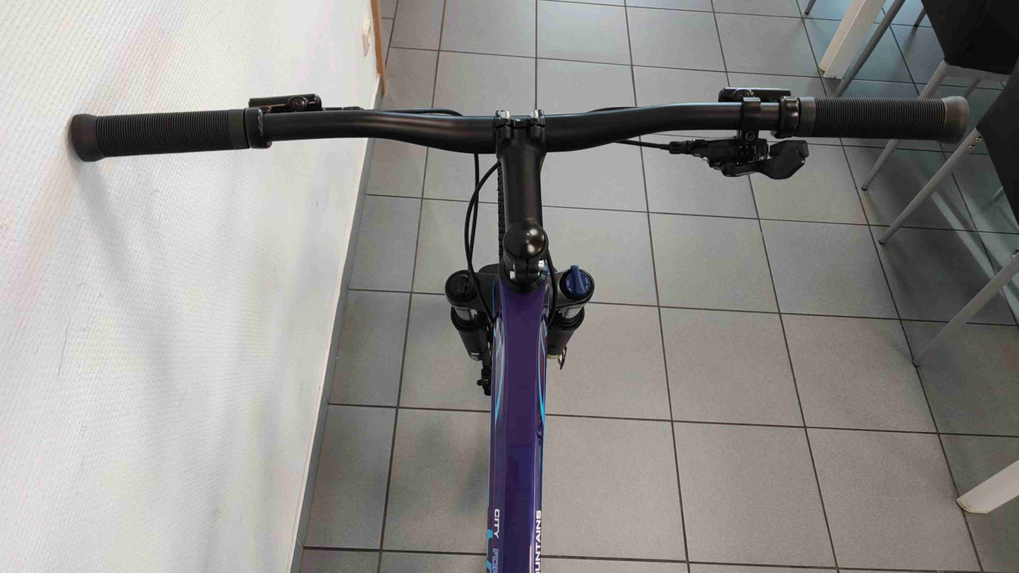 CFM Mountainbike Carbon 29 12S Blauw