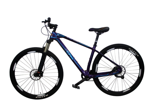 CFM Mountainbike Carbon 29 12S Blauw